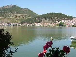 Φωτογραφία για Σε ειδικό καθεστώς προστασίας η λίμνη Καστοριάς