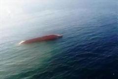 Εντοπίστηκε νεκρός ναυτικός στη θαλάσσια περιοχή μεταξύ Κυλλήνης και Ζακύνθου.
