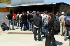 Ξέφραγο αμπέλι το Άγιο Όρος