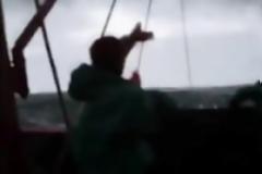 Σοκ έπαθαν ψαράδες με την ψαριά τους…(video)
