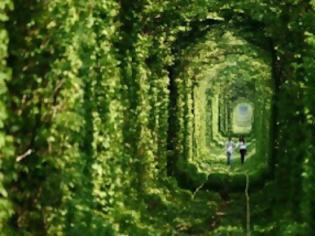 Φωτογραφία για Τι θα λέγατε για μια βόλτα στο «τούνελ της αγάπης»; (pics)