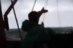 Σοκ έπαθαν ψαράδες με την ψαριά τους… [video]
