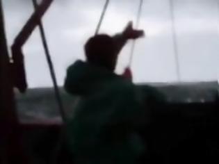 Φωτογραφία για Σοκ έπαθαν ψαράδες με την ψαριά τους… [video]