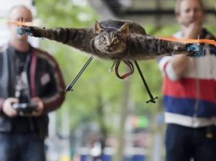 Φωτογραφία για ΣΟΚΑΡΙΣΤΙΚΟ VIDEO: Έκανε ελικόπτερο τη νεκρή του γάτα!