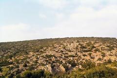 Ιστιαία: Ο εγγονός βρήκε τον παππού του νεκρό στους θάμνους