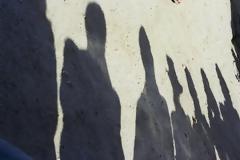 Εταιρίες δολοφόνων...