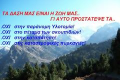 Η προστασία του δάσους μας αφορά όλους μας...