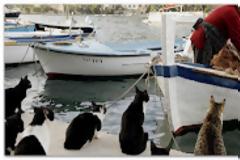 Νοσοκομειακοί Γιατροί για Λοβέρδο: Αυτός ο άνθρωπος διέλυσε ολοσχερώς το σύστημα Υγείας