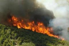 Ξέσπασε φωτιά στα Λευκάκια Αργολίδας