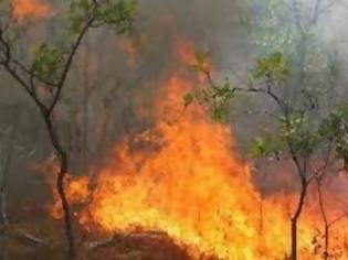 Φωτογραφία για Σε εξέλιξη πυρκαγιά στην Αργολίδα