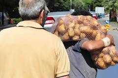 Συνεχίζεται το κίνημα της πατάτας στο Ναύπλιο.
