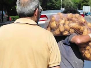 Φωτογραφία για Συνεχίζεται το κίνημα της πατάτας στο Ναύπλιο.