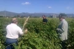 Από την Πέμπτη οι αποζημιώσεις του ΕΛΓΑ
