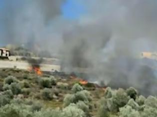 Φωτογραφία για Βίντεο από την φωτιά στα Λευκάκια Αργολίδας