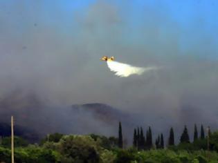 Φωτογραφία για Τεράστιες καταστροφές στο Ναύπλιο από τις πυρκαγιές
