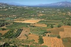 Αποζημιώσεις μέσω ΕΛΓΑ για τους παραγωγούς της Κρήτης