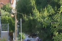 25ΧΡΟΝΟΣ ΠΥΡΟΒΟΛΗΣΕ ΚΑΙ ΣΚΟΤΩΣΕ ΤΟΝ ΛΗΣΤΗ ΣΤΗΝ ΠΑΙΑΝΙΑ