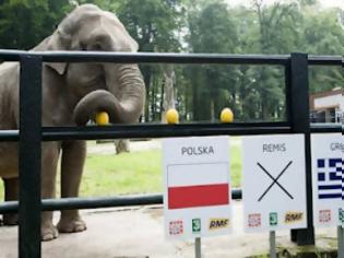 Φωτογραφία για Euro 2012: Ο ελέφαντας έδειξε Πολωνία!