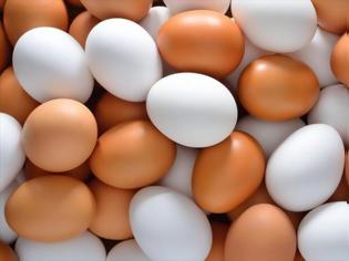 Φωτογραφία για Νορβηγοί σεφ παρήγγειλαν 15.000 αυγά αντί για 1.500!