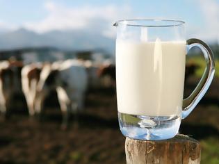 Φωτογραφία για Βουλιάζουν οι τιμές στο γάλα έφτασε το πρόβειο στα 78 λεπτά το κιλό και το γιδινό στα 45 λεπτά!