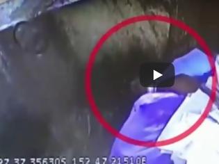 Φωτογραφία για Βίντεο-σοκ: Σκύλος γλυτώνει από πολτοποίηση με σκουπίδια σε απορριμματοφόρο