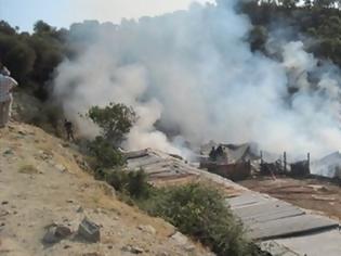 Φωτογραφία για Κάηκαν εκατοντάδες χοίροι σε εκτροφείο στα Τρίκαλα