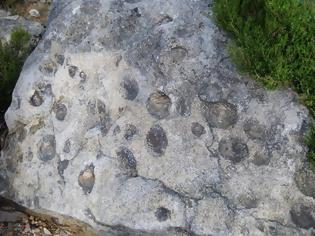 Φωτογραφία για Απίστευτο! Αυτός είναι ο βράχος που γεννά πέτρες!