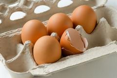 Πώς μπορείτε να αξιοποιείτε τα τσόφλια των αυγών