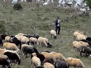 Φωτογραφία για Σοκαριστική μαρτυρία κτηνοτρόφου στην Εύβοια: Ήρθα πρόσωπο με πρόσωπο με το Διάβολο
