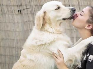 Φωτογραφία για Έρευνα: Οι γυναίκες καταλαβαίνουν καλύτερα τι θέλει ένας σκύλος