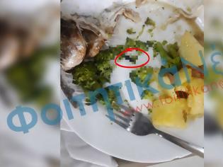 Φωτογραφία για Πανεπιστήμιο Πατρών: Έπαθε ΣΟΚ ο φοιτητής - Δείτε τι βρήκε μέσα στο φαγητό της Εστίας