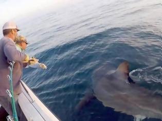 Φωτογραφία για Το «τέρας» βρέθηκε: Πιάστηκε λευκός καρχαρίας πέντε μέτρων και 1.500 κιλών! [video]