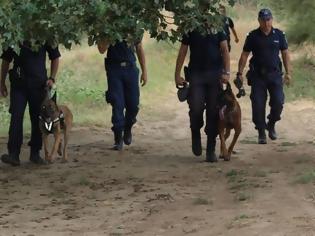 Φωτογραφία για Αναβρασμός στο Τμήμα Σκύλων Ελληνικής Αστυνομίας