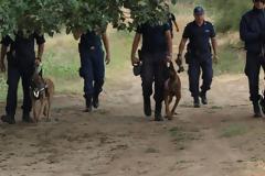 Αναβρασμός στο Τμήμα Σκύλων Ελληνικής Αστυνομίας