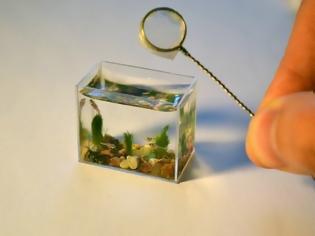 Φωτογραφία για Το μικρότερο ενυδρείο στον κόσμο... [photo]
