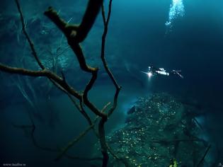 Φωτογραφία για Σπάνιο φαινόμενο: Ποτάμι και δέντρα... κάτω από τον ωκεανό [video]