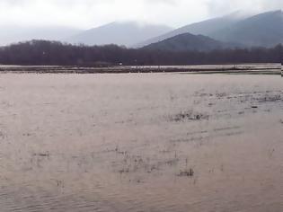 Φωτογραφία για Ενεργοποίηση υπηρεσίας της Ε.Ε. για την άμεση χαρτογράφηση περιοχών που έχουν πληγεί από τις πλημμύρες στη Θεσσαλία