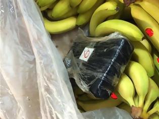 Φωτογραφία για Αλβανία: Είχαν κρύψει 613 κιλά κοκαΐνης σε κοντέινερ με μπανάνες