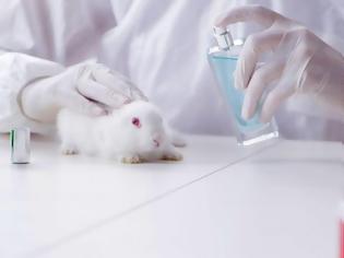 Φωτογραφία για Δράση ενάντια στις δοκιμές καλλυντικών σε ζώα είναι έτοιμη να αναλάβει η ΕΕ