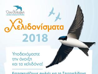 Φωτογραφία για Ελληνική Ορνιθολογική Εταιρεία: Υποδεχόμαστε τα χελιδόνια… ετοιμάζουμε τις φωλιές τους!