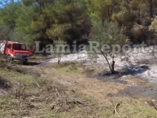 Φωτογραφία για Φθιώτιδα: Πυρκαγιά σε δασική έκταση [photos]