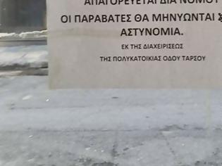 Φωτογραφία για Διαχειριστής απειλεί με μηνύσεις όσους ταΐζουν σκύλους και γάτες