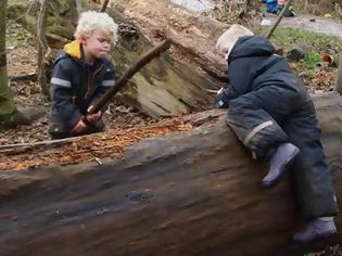 Φωτογραφία για Το εναλλακτικό νηπιαγωγείο όπου τα παιδιά περιφέρονται στο δάσος και χρησιμοποιούν μαχαίρια [video]
