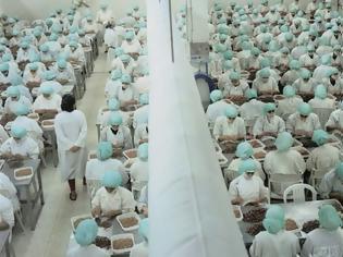 Φωτογραφία για Το απάνθρωπο εργοστάσιο γαρίδας όπου οι γυναίκες δεν μπορούν να μιλήσουν