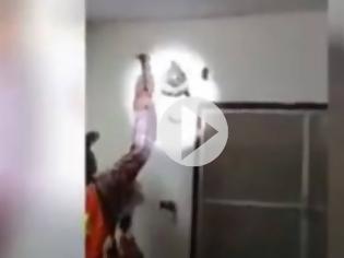 Φωτογραφία για Ανατριχίλα: Πύθωνας 4,5 μέτρων κρυβόταν μέσα σε τοίχο σπιτιού! [video]