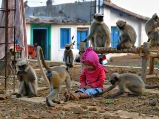 Φωτογραφία για Ο σύγχρονος... Μόγλης είναι μόλις δύο ετών και κάνει παρέα μόνο με μαϊμούδες