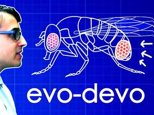 Φωτογραφία για Evo-Devo (Despacito Biology Parody)