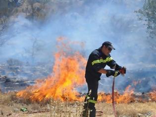 Φωτογραφία για Μάχη με τις φλόγες δίνουν οι πυροσβέστες σε Αυλώνα, Κορινθία, Ηλεία, και Κρήτη
