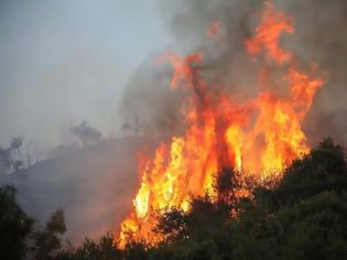 Φωτογραφία για Φωτιές: Καίγονται Κρήτη, Ηλεία, Κιάτο και Αυλώνας!