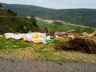 Φωτογραφία για Σκουπίδια και μπάζα στη διαδρομή ΛΟΥΤΡΑΚΙ -ΚΑΤΟΥΝΑ (ΦΩΤΟ)